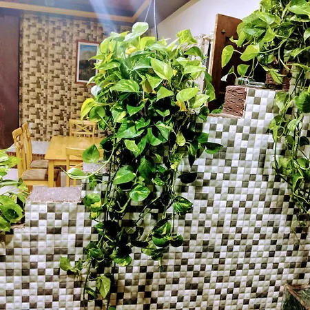 Ivy Orchids Villa - Lonavala-3